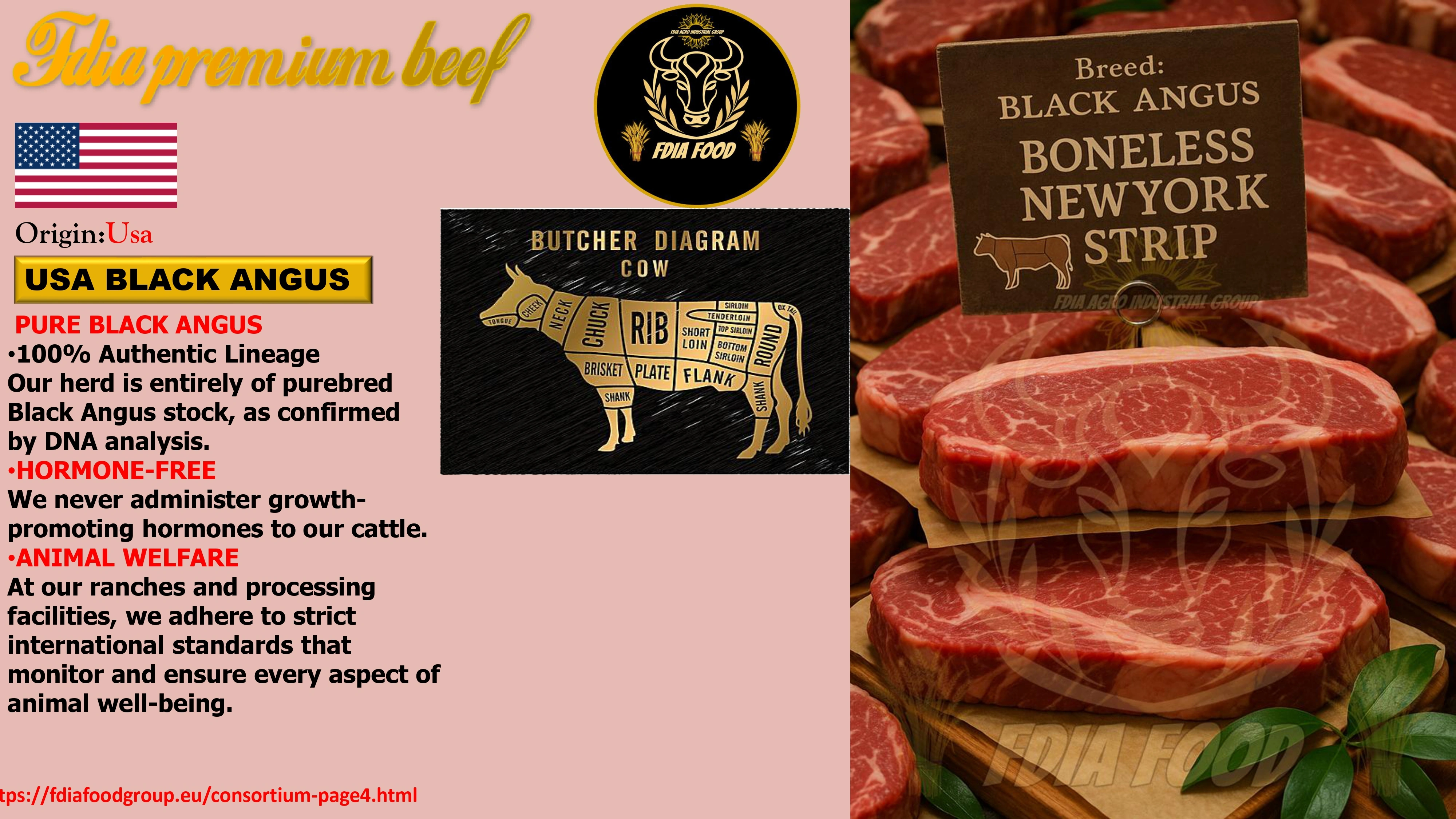 meat (20)